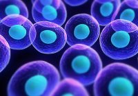 CRISPR Engineered to Edit RNA in Human Cells