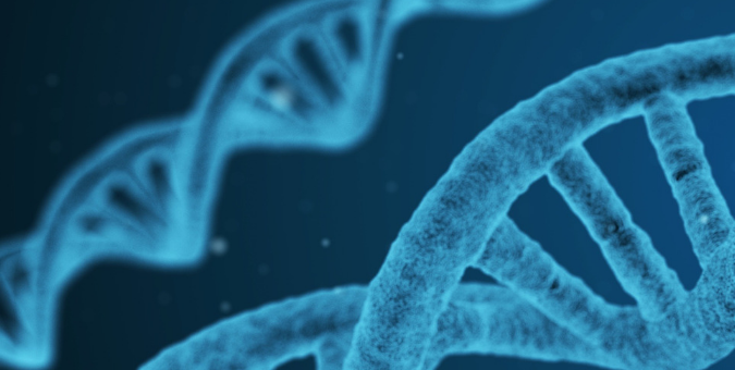 PARP Inhibitors May Offer New Treatment Options for Cancer Patients