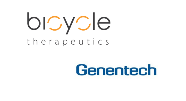 Bicycle Therapeutics in $30M Deal with Genentech