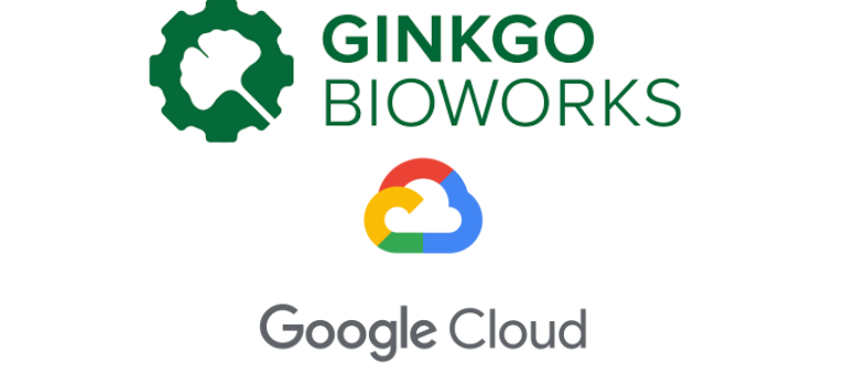 Ginkgo Bioworks Partners with Google Cloud on AI for Drug Development